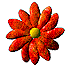 ICQ-flower